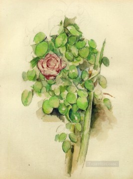  Rose Oil Painting - Rose Bush Paul Cezanne
